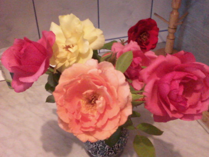 trandafiri de la o prietena