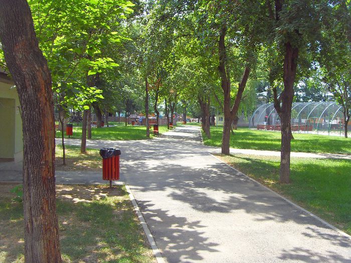SDC10042