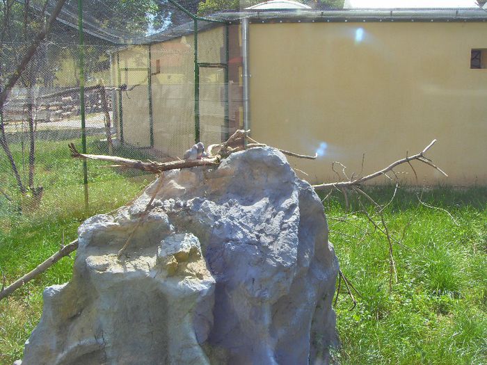 SDC10052