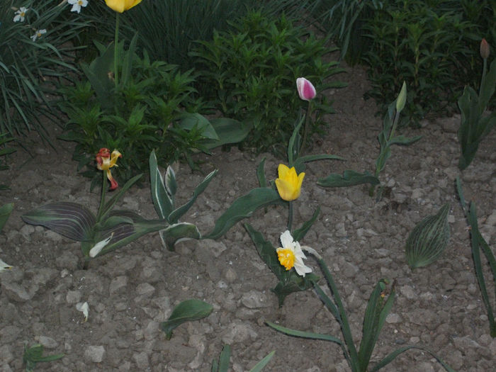 DSCF8815