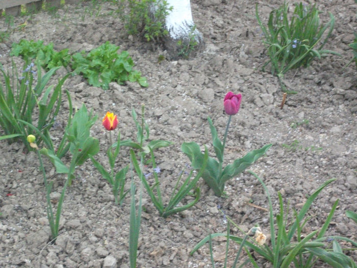 DSCF8821