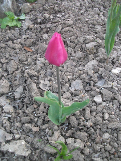 DSCF8864