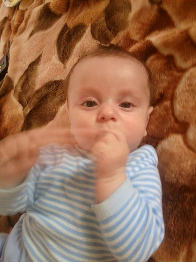 Fotografie3492 - un bebe mic -2013