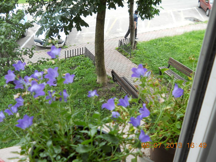 047 - IULIE 2013