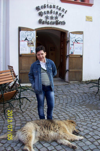 100_9089 - Targul mestesugarilor la Sighisoara 2013