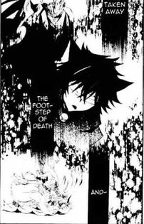 cheshire 25 - Pandora Hearts manga 3