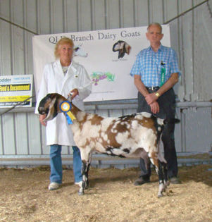 Spring spect 2010 ch an