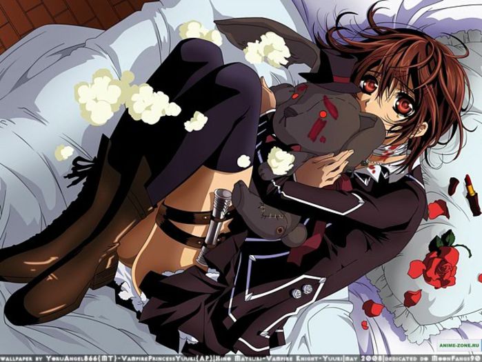 0920a55e40029c292227c16752aabad7 - vampire knight