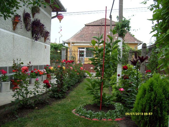 2013; zona sudica a curtii
