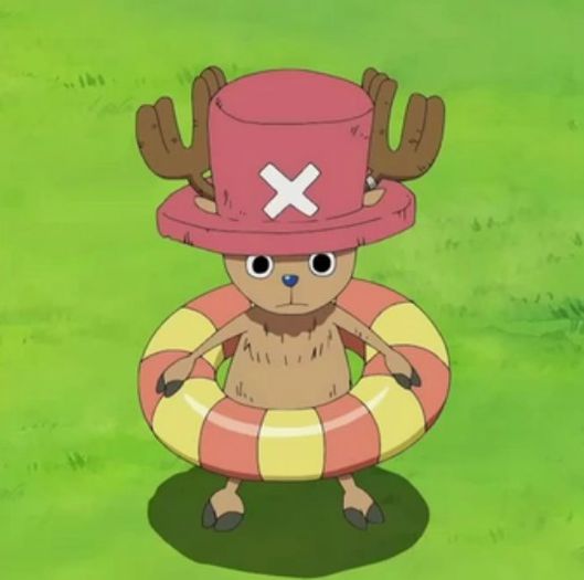 Chopper - - - One Piece Chopper