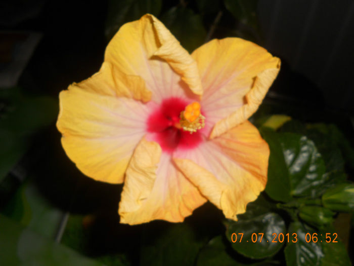 DSCN3697