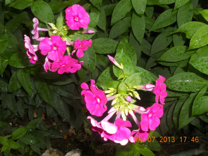 DSCN3694 - Oituz 2013