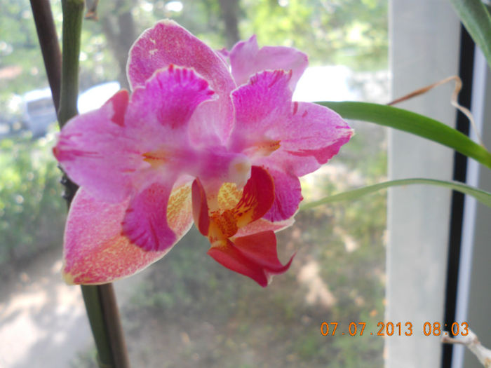DSCN3702