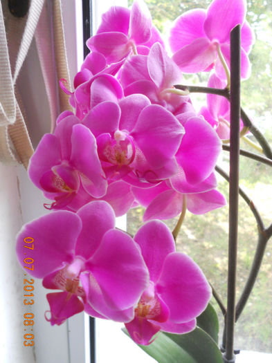 DSCN3703