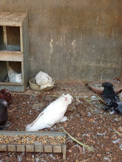 2013-jun 073 - 0001000