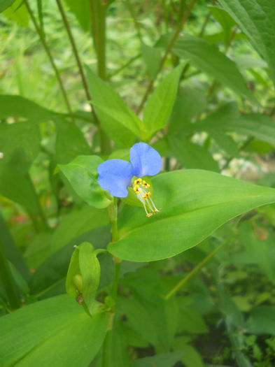 DSCN4557