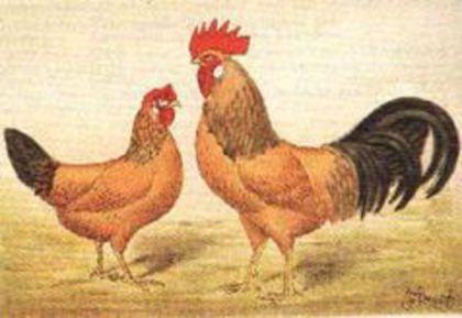 88673245_YBTWBGU