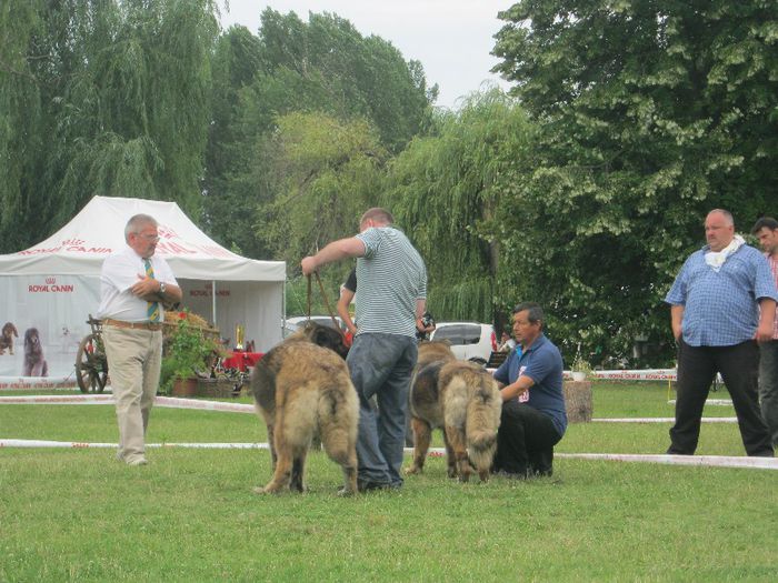 IMG_2097 - CAC PLOIESTI 07 07 2013