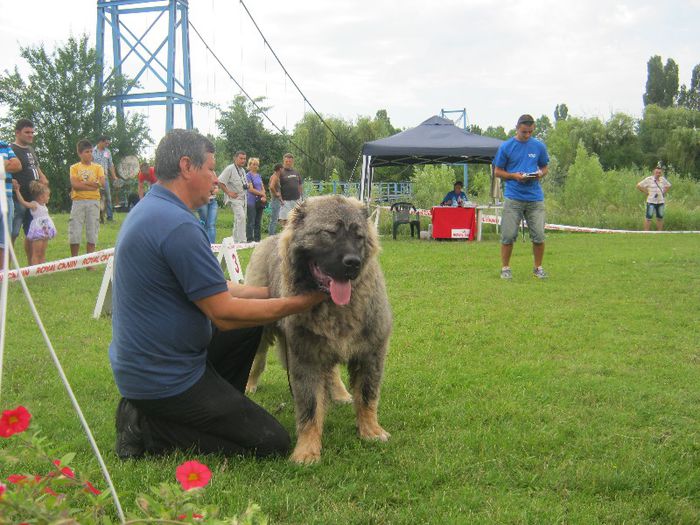 IMG_2107 - CAC PLOIESTI 07 07 2013