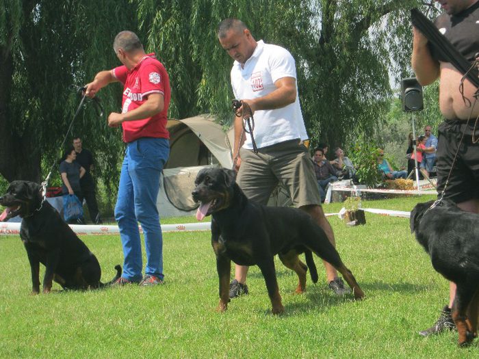 IMG_2133 - CAC PLOIESTI 07 07 2013