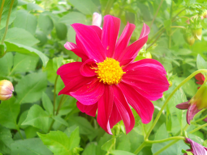 DSCN4569