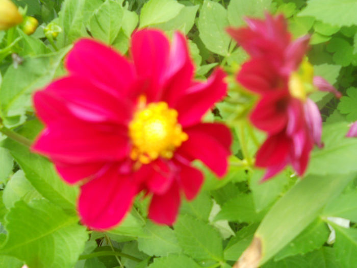 DSCN4572