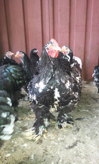 20130707_1759551849783702