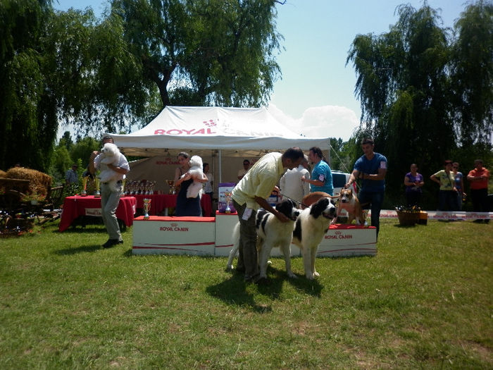 P1030955 - Expo CACIB Ploiesti 07 07 2013