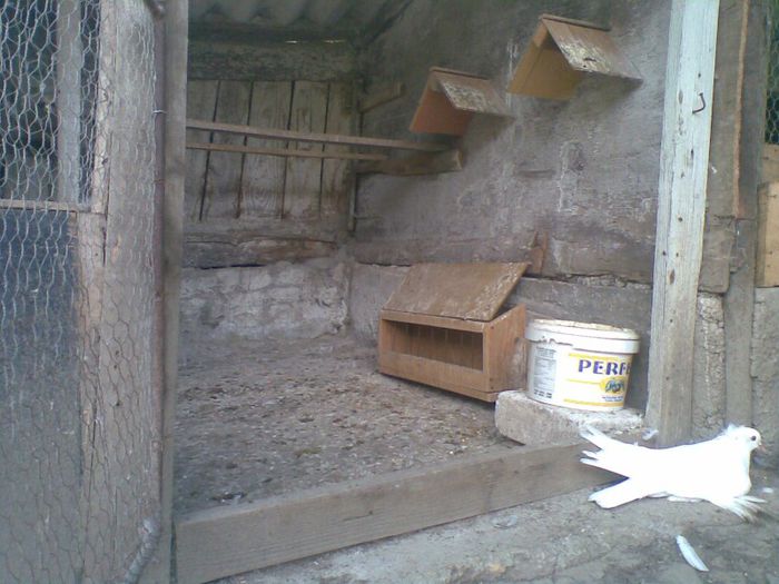 07072013(020) - Uriasi Maghiari