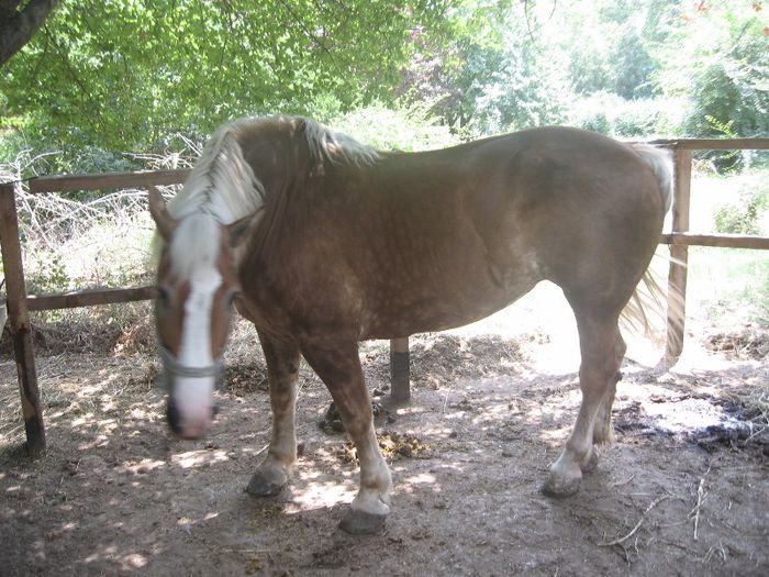 Microdelta Constanta 2013.