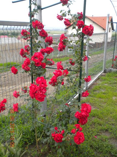 urcatorul de la pagina1!