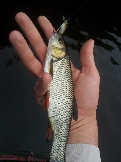 20130627_101547