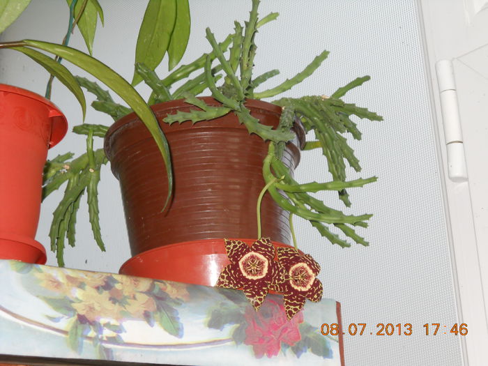 030 - IULIE 2013