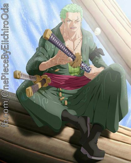 1016103_362904643832273_464125865_n - One Piece ZoRo