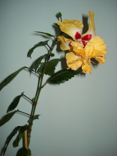 DSC08157