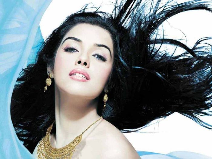 1010510_512432732155777_862868430_n - Asin Thottumkal