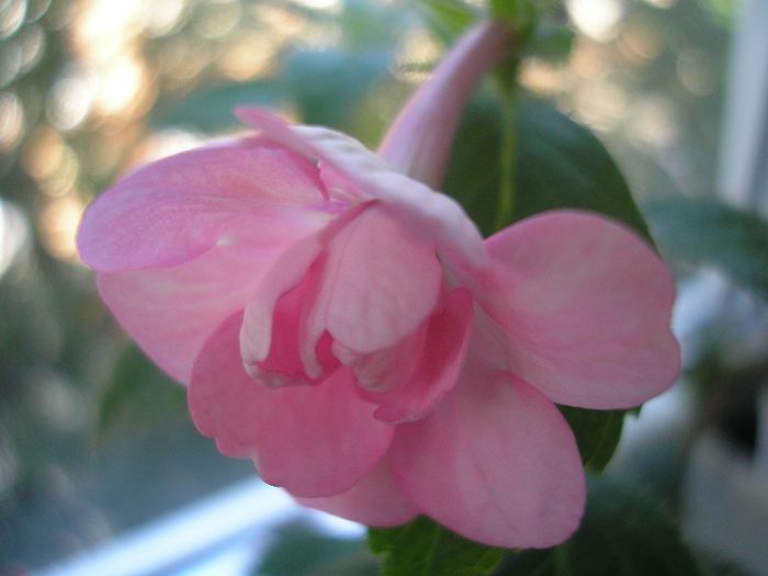 P7080047