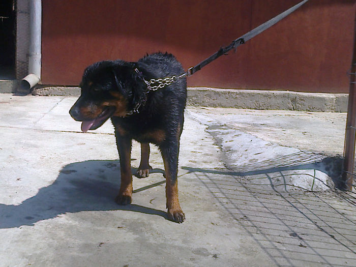 HERRA
