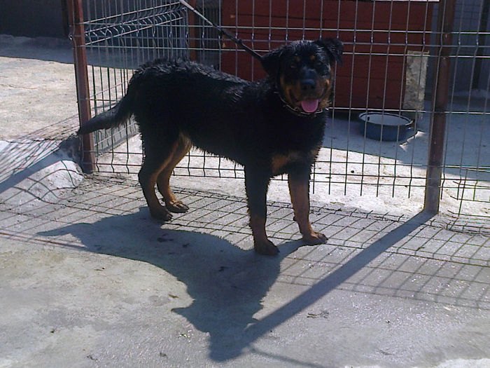HERRA; 8 luni
