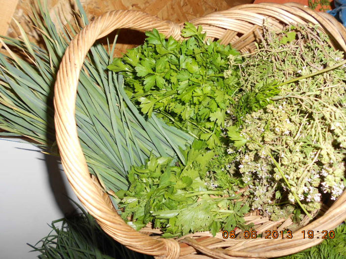 Leustean,patrunjel,cimbru si usturoi