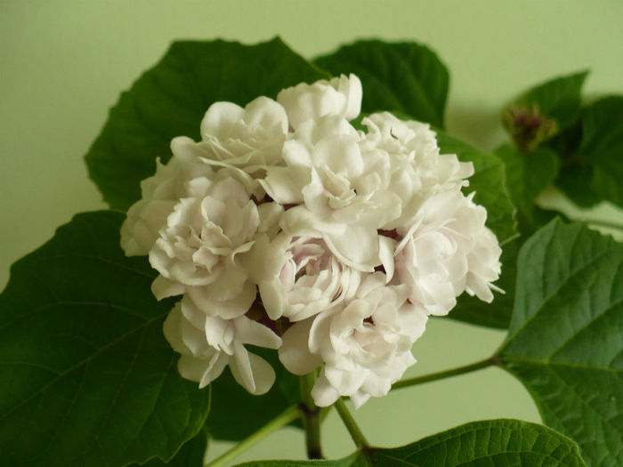 P1450949
