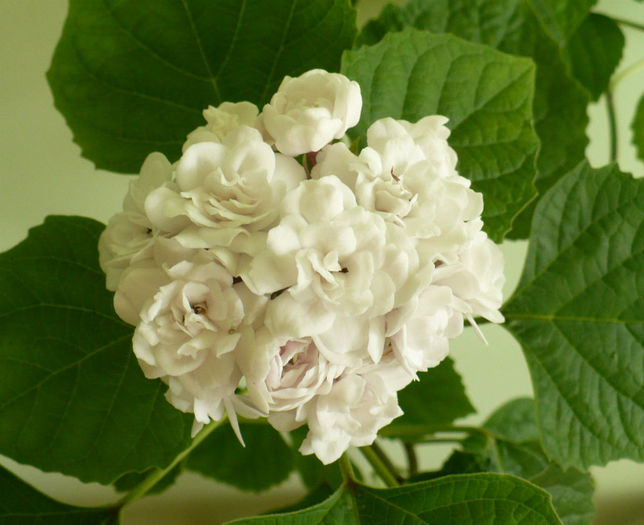 P1450950