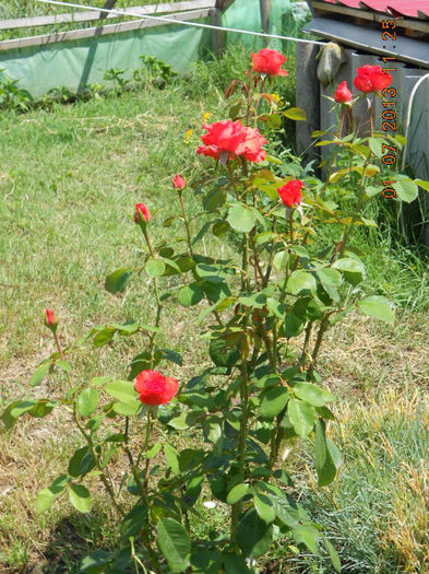 DSCN9404