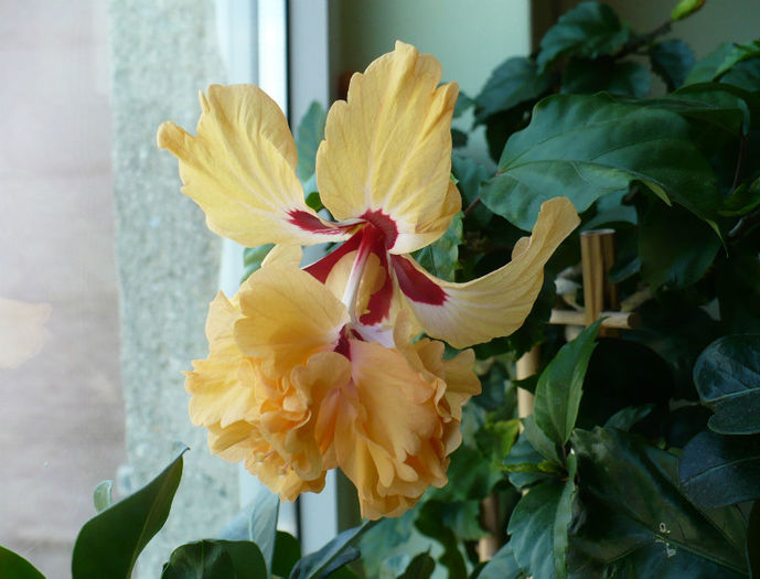 P1460051