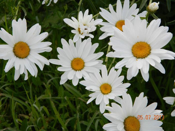 057