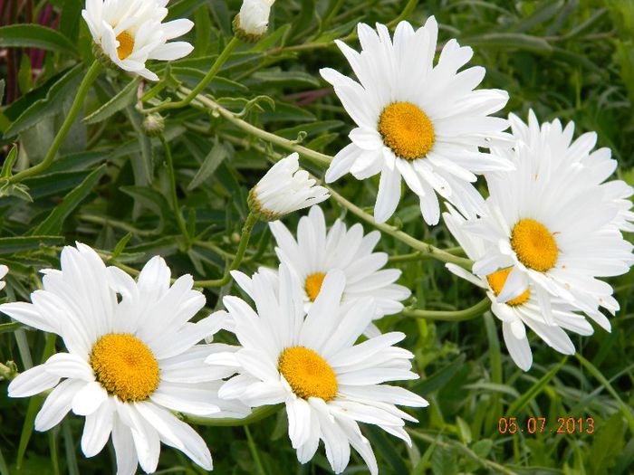 058