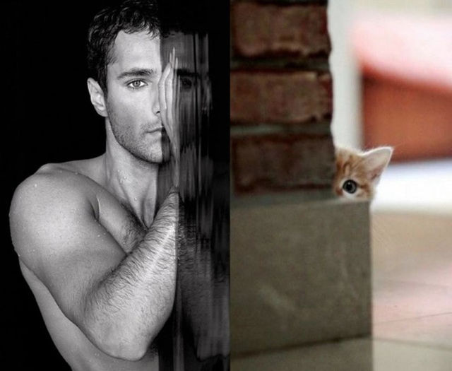 3 - Hot Guys and Cats Striking