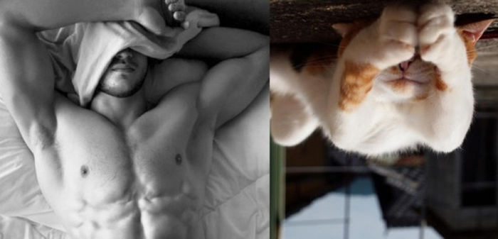 8 - Hot Guys and Cats Striking