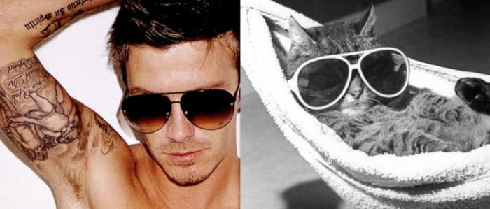 9 - Hot Guys and Cats Striking