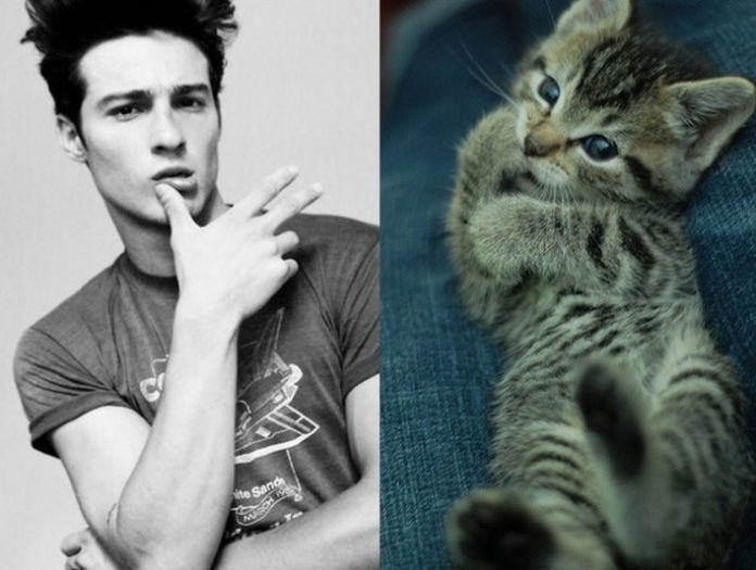 10 - Hot Guys and Cats Striking